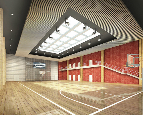 體育運(yùn)動(dòng)地板 體育運(yùn)動(dòng)地板