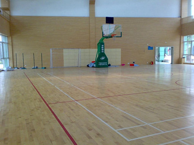 室內運動地板 室內運動地板