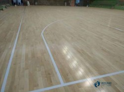 籃球場館地板免費